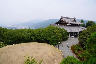 20200808-2 京都 将軍塚青龍殿から東山トレイル下り道…迷子になったみたいね