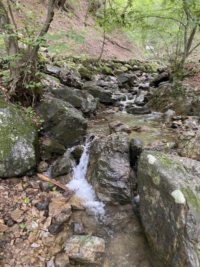 御岳山ロックガーデン