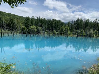 20年 夏の小樽~富良野、美瑛~札幌 ドライブと美味 親子3人旅