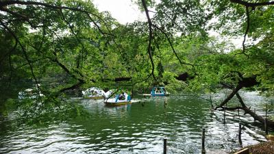 他県に行くのは自粛して都内を巡ってみようという事で井の頭公園を散歩してみてた