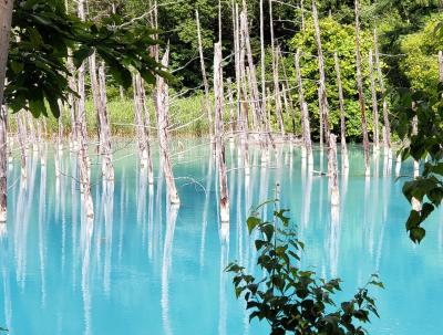  北海道で3つのお得旅　大人気のインスタ映えスポット【青い池】って本当に美しいのか？ 3日目&amp;最終日