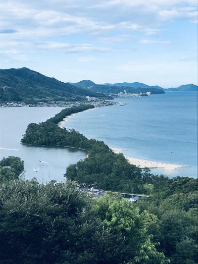 酷暑も何の!天橋立の昇竜もへばったか!
