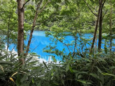 緑の熊の湯温泉、ホタル観賞、横手山とコバルトブルーの大沼池散策