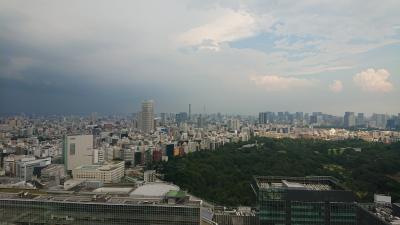 東京ホテルお籠り