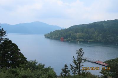 久しぶりに箱根旅行をしました⑪成川美術館～元箱根港～桃源台港～桃源台～早雲山～強羅～箱根湯本