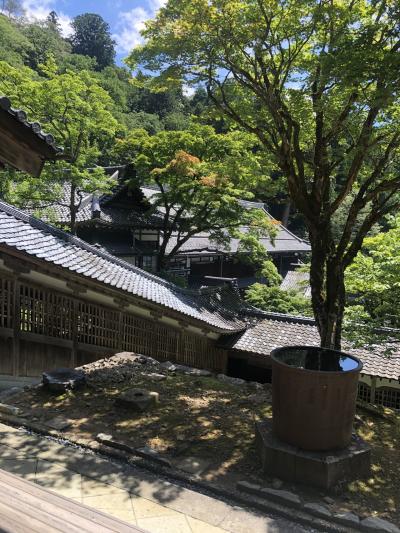 福井ドライブ白山登山の前泊で観光①永平寺、一乗谷朝倉氏遺跡