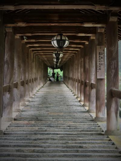 奈良県-3　豊山長谷寺a　総受付・仁王門・登廊・蔵王堂　☆雨降る境内-一人旅-こころ鎮まり