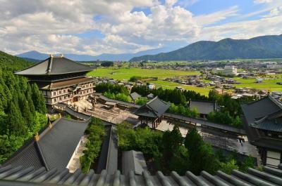 恐竜博物館！??越前大仏を夏休み孫たちと歩いてみました。