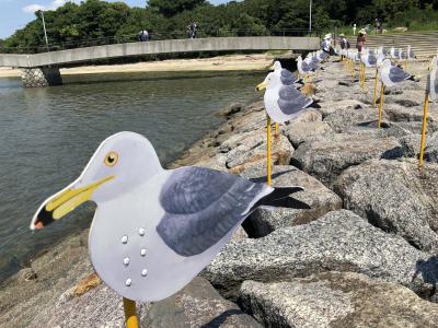 初めての西尾 佐久島