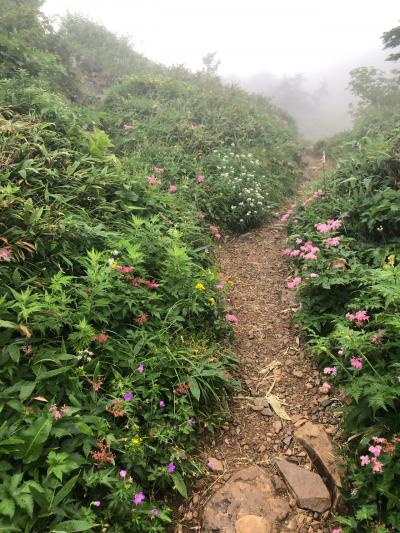 花の楽園！百名山、白山に日帰り登山。前泊白山温泉②