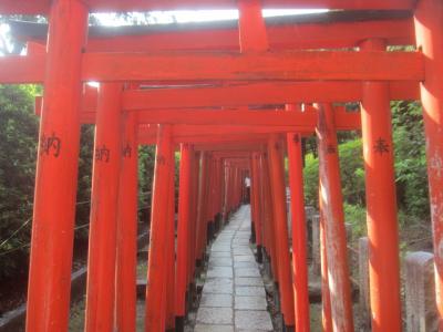 ぶらり 谷根千さんぽ　根津神社､寛永寺へ