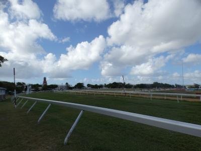 バルバドス ギャリソンサバンナ周辺(Garrison Savannah, Bridgetown, Barbados)