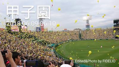 2018夏　関西・甲子園遠征記　〈第２幕〉【２日目︰甲子園編】