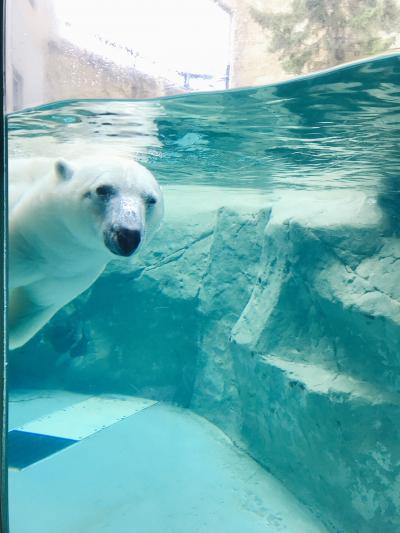 函館から札幌レンタカー6日間の旅新千歳空港より帰宅