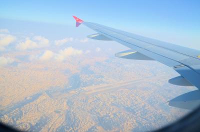 天空のレストラン：カタール航空、ロイヤルヨルダン航空