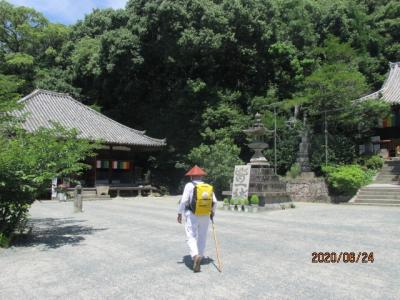 愛媛（伊予一国）ドライブ巡礼（４５）石手寺に参拝し、棕櫚のコケ落としを買って下山する。