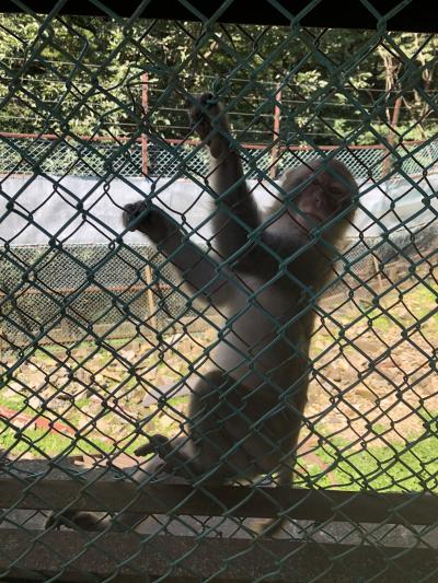 鬼怒川温泉ロ一プウェイ