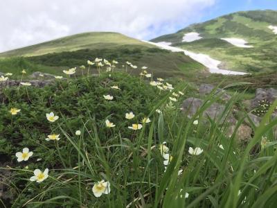 梅雨明けまだか？それでも行く東北行脚　鳥海山リベンジと森吉山