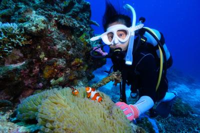 生きているサンゴの八重干瀬で潜る、素敵なダイビングショップで快適　宮古島2日目