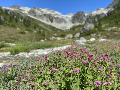 涸沢に負けていない？！　ブランディワイン・メドーズをハイキング