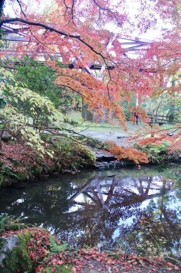 紅葉の山中温泉