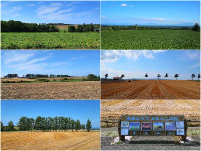 【北海道(女満別・大空町)】夏のひがし北海道 絶景ドライブ旅! まるで絵画のような美しさ『オホーツク絶景パノラマロード』