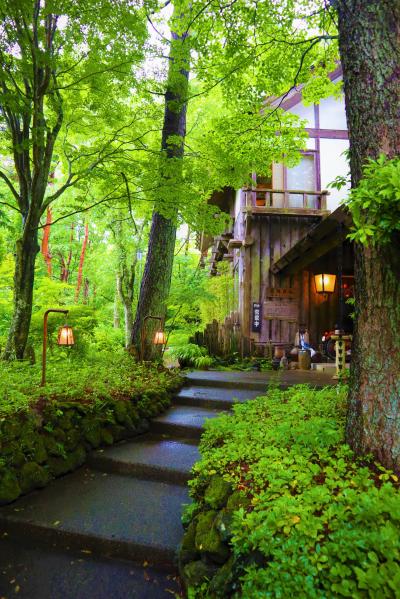 山梨凄いじゃん！美しい水に、充実の水族館に、オシャレなカフェに、富士山に！！癒され充実ドライブ旅行♪♪