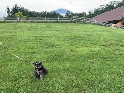 詩との旅4泊目☆ドッグリゾートwoof 山中湖