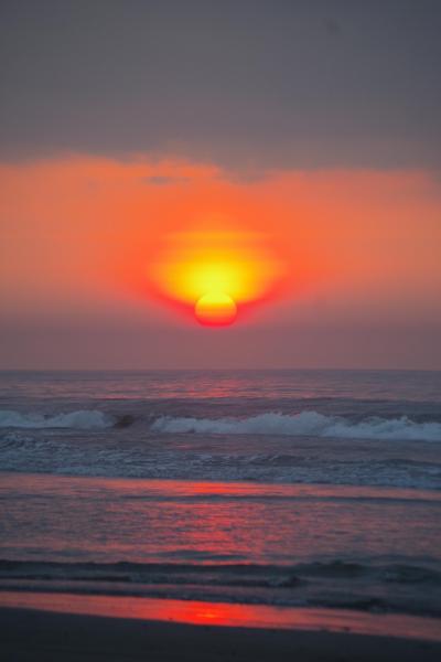 ゼロ密で千葉県の夏