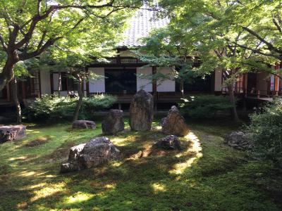 真夏の日帰り一人旅の京都4・安井金比羅宮と建仁寺、ぎおん徳屋のわらび餅