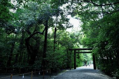 青春18きっぷで東京⇒紀伊半島一周　夏の1人旅。（前編）