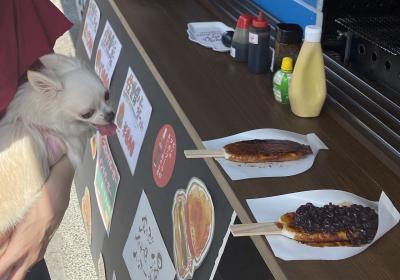 ペットと行く犬山城下町五平餅日帰り旅