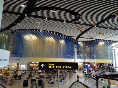 3度目のNZは北島!車なし母娘旅⑦帰国