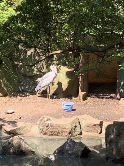 伊豆シャボテン動物公園を満喫する旅2