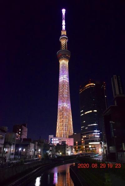 2020 たぶん今年しか見られない東京スカイツリー特別ライティング『未来につなぐバーチャル花火』