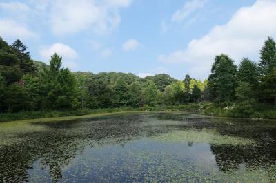 軽井沢の優雅な避暑♪　Vol.19　☆軽井沢レイクガーデン　盛夏の花風景♪