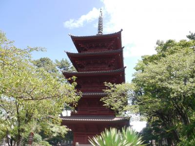 中山法華経寺☆道の駅いちかわ  &#8206;トラットリア・アルポンテ☆2020/08/28