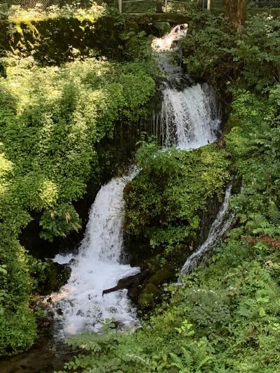 清らかな水を求めて　日本名水百選　箱島湧水へ