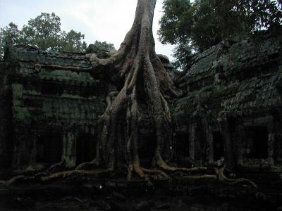 ぶらり東南アジア・カンボジア−世界遺産アンコール遺跡群と子供たちの笑顔と負の歴史に触れる旅−