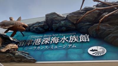 Go to2020夏の家族旅行は沼津＆熱海 その1