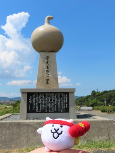 ちょっくら淡路島に行ってきたにゃ！ （イングランドの丘、明石海峡公園、淡路市立陶芸館）