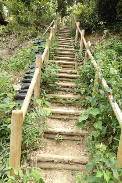 葛原岡ハイキングコース－2020年初秋