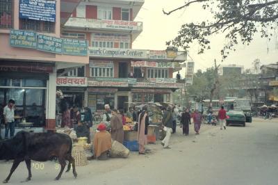 《メモリー》2000年2・3月　ネパールに行ってみた【その３】　ネパール第２の町・ポカラを歩き回る