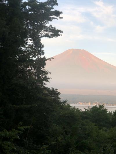 コロナ対策してひまわり畑と二度目の山中湖オーベルジュと初めての御殿場アウトレット