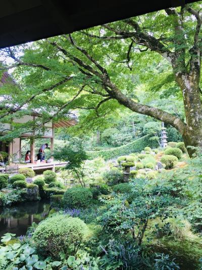 色んな事に疲れたcocoroを癒してくれる京都大原三千院。今だからこその one day trip。