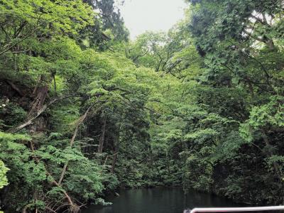 2020年夏 帰省しない北海道旅行その1 十和田湖RIBツアーから青函フェリーで函館へ