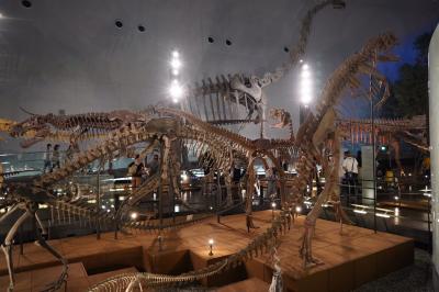 20200902-2 勝山 恐竜博物館。知らんかった事色々。
