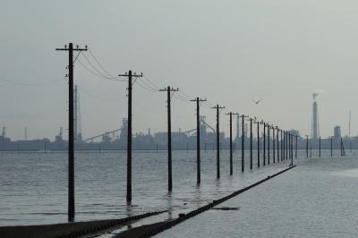 不思議な風景江川海岸海中電柱