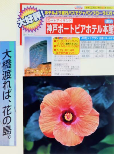 神戸-淡路島　ジャパンフローラ2000=淡路花博=見学　☆神戸ポートピアホテル/ハーブ園＃