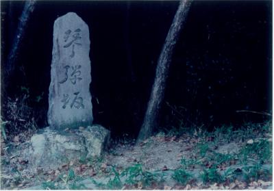 1998.9 有馬富士・花山院